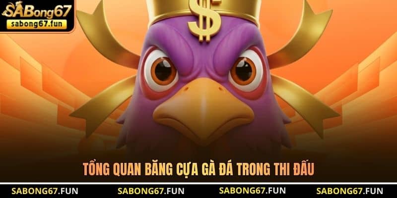 Băng Cựa Gà Đá - Bí Quyết Bảo Vệ Chiến Kê Hiệu Quả - VIP88 Băng Cựa Gà Đá - Bí Quyết Bảo Vệ Chiến Kê Hiệu Quả - VIP88