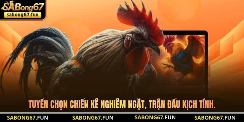 Bồ Gà CPC2 – Sới Đấu Khai Sinh Chiến Kê Huyền Thoại - VIP88 Bồ Gà CPC2 – Sới Đấu Khai Sinh Chiến Kê Huyền Thoại - VIP88