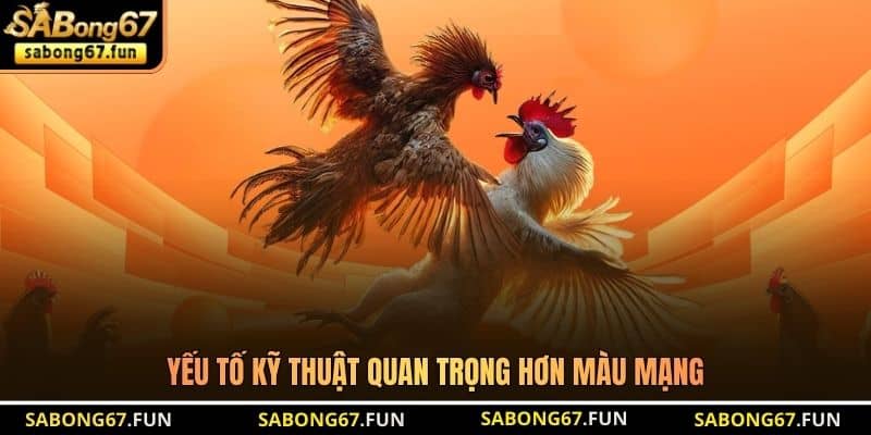 Màu Mạng Đá Gà SABONG67 - Bí Kíp Giúp Tìm Ra Chiến Kê Mạnh - VIP88