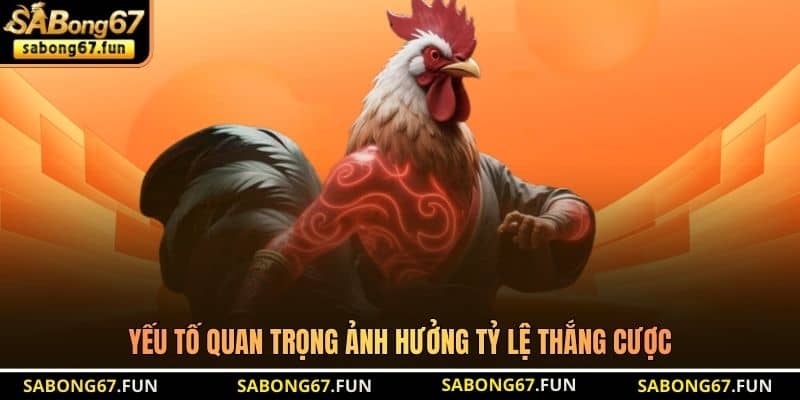 Dự Đoán Kết Quả Đá Gà - Bí Quyết Nhận Định Chuẩn Từ SABONG67 - VIP88 Dự Đoán Kết Quả Đá Gà - Bí Quyết Nhận Định Chuẩn Từ SABONG67 - VIP88
